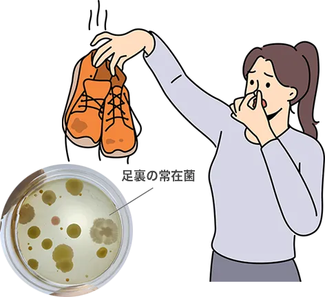 足裏の常在菌が出す臭いに蚊が寄ってきます